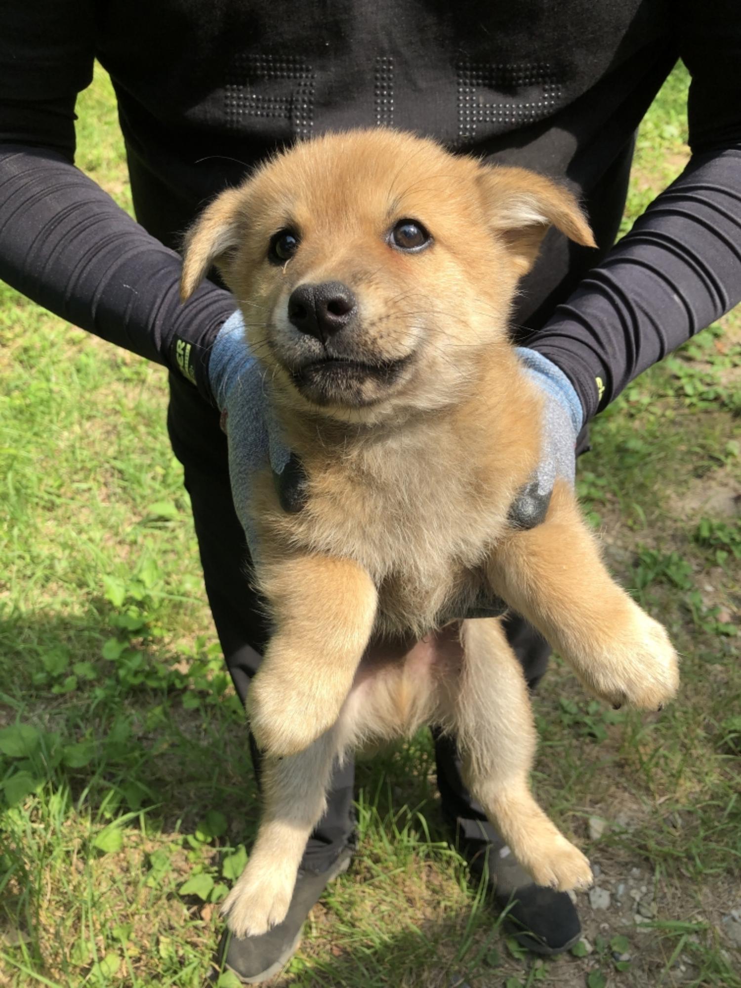 남해군유기동물보호소_448543202300166