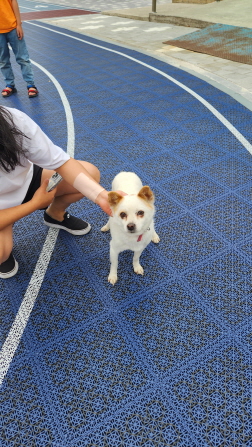 익산유기동물보호소_445468202301312