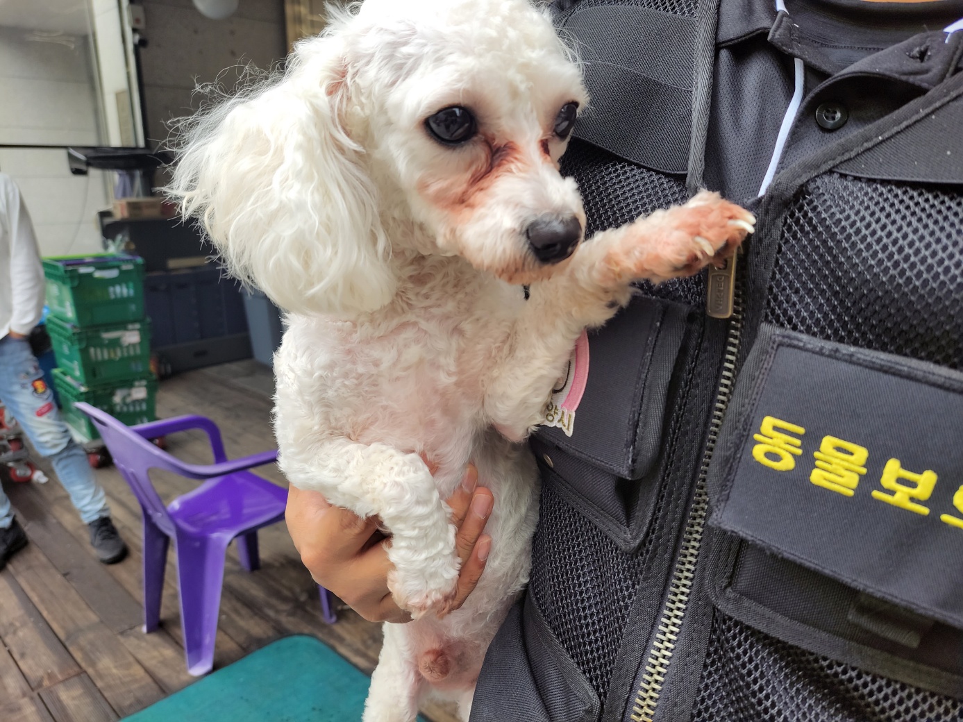 고양시동물보호센터_441394202301392