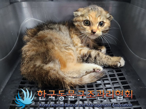 한국동물구조관리협회_411318202300282