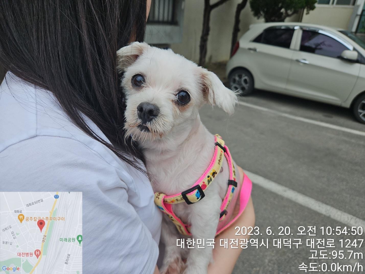 대전동물보호센터_430368202300303