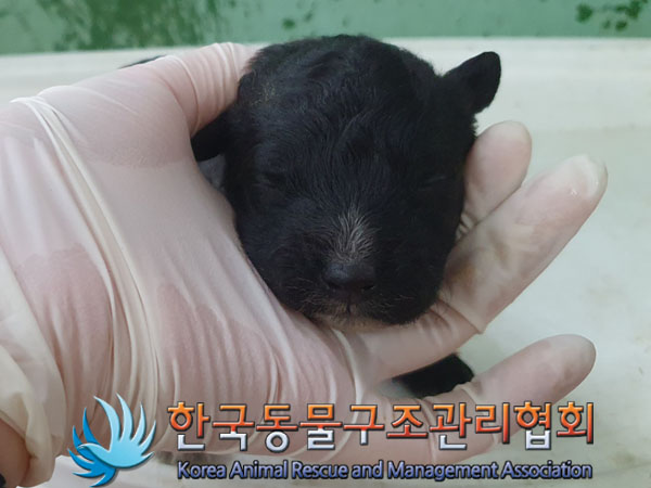 한국동물구조관리협회_441560202300816