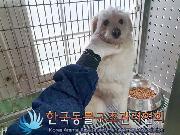 한국동물구조관리협회_441559202300457