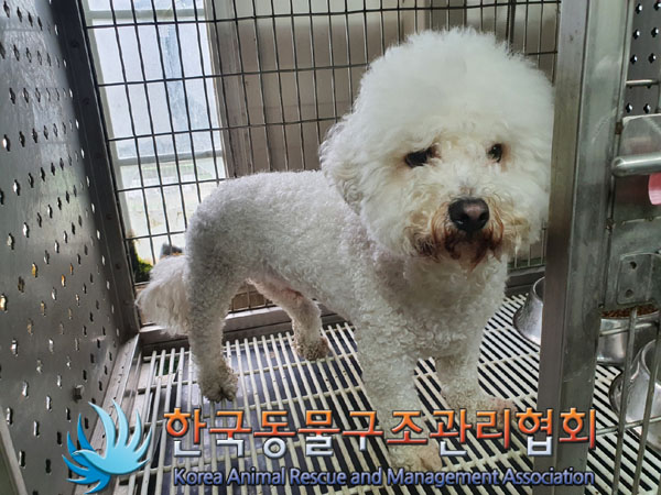 한국동물구조관리협회_441392202300128