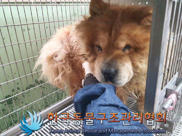 한국동물구조관리협회_441406202300880