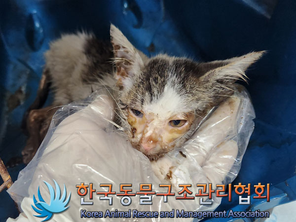 한국동물구조관리협회_411305202300325