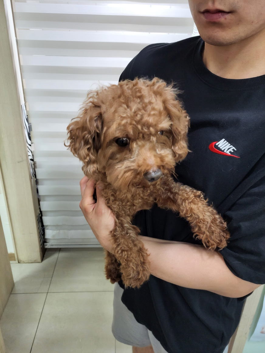 둔촌동물병원_411324202300379