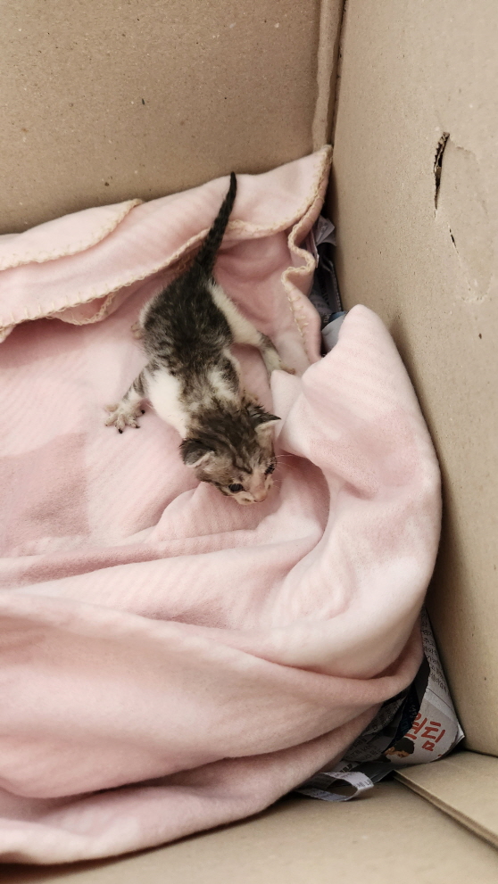 익산유기동물보호소_445468202301317