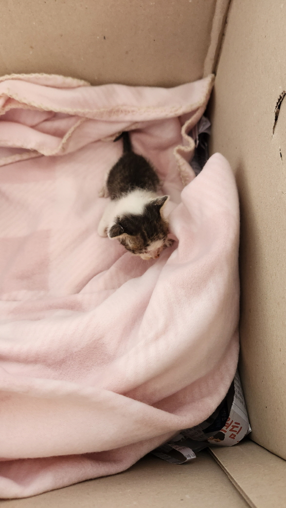 익산유기동물보호소_445468202301316