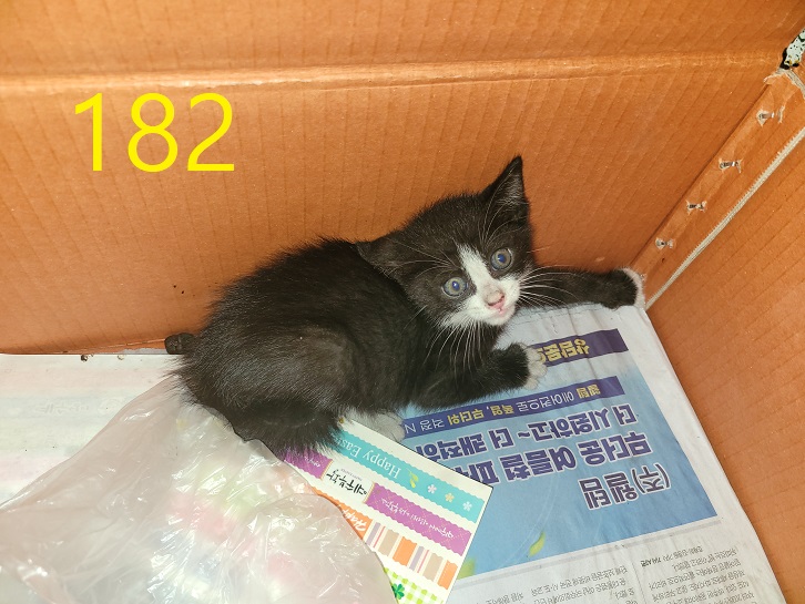 신영재동물병원_428355202300315
