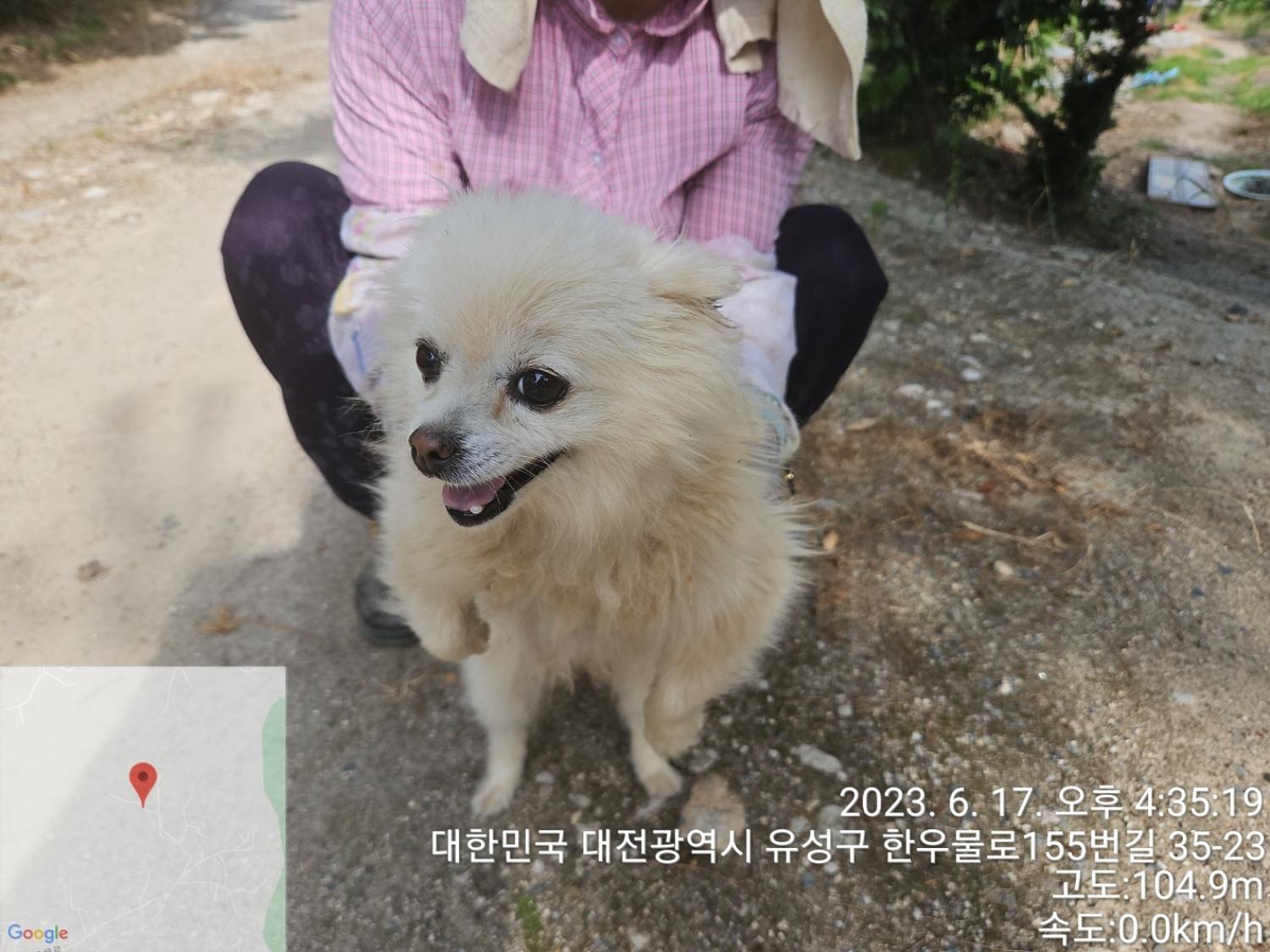 대전동물보호센터_430367202300353