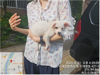 대전동물보호센터_430365202300280