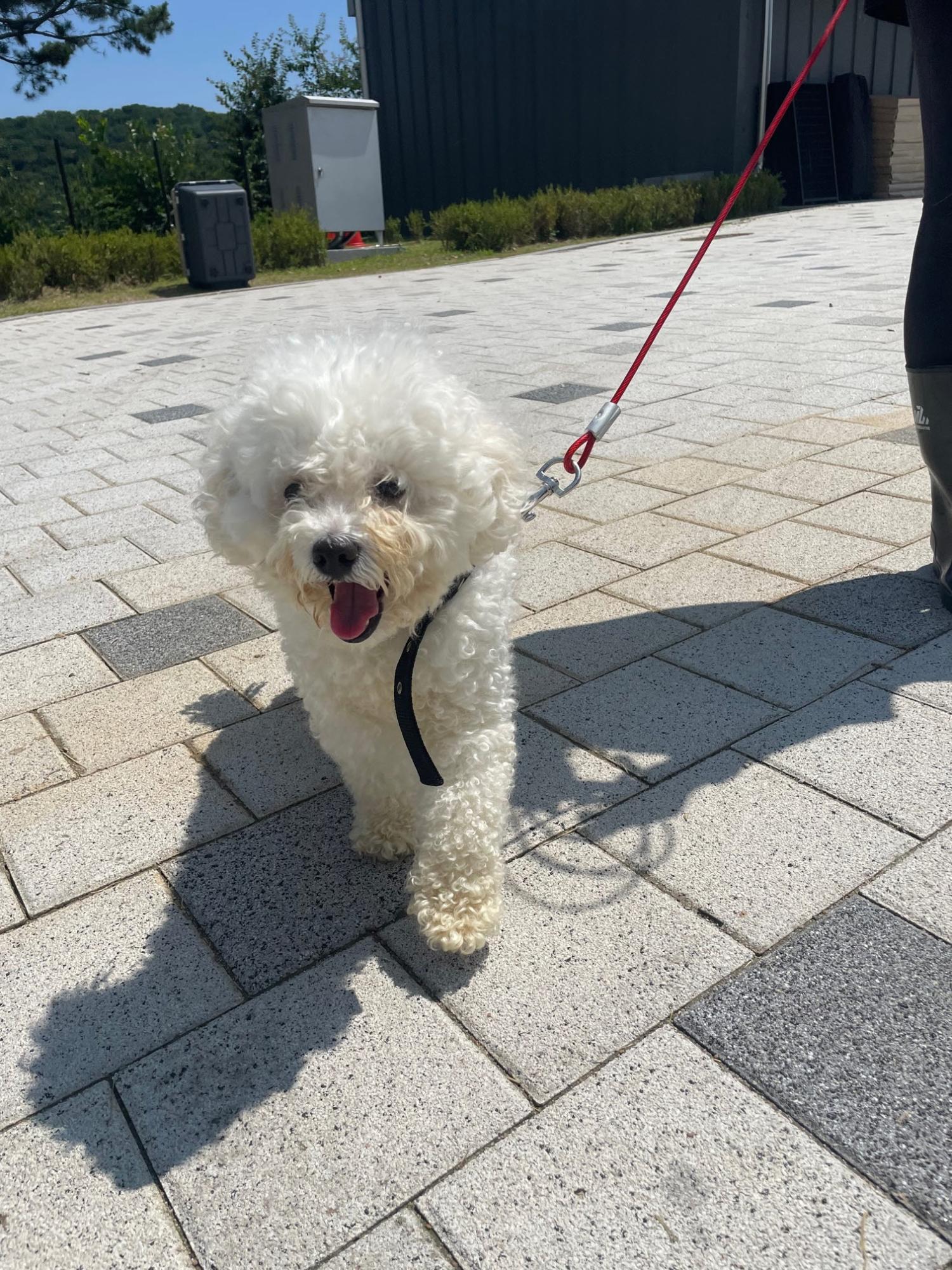 시흥동물누리보호센터_441401202300849
