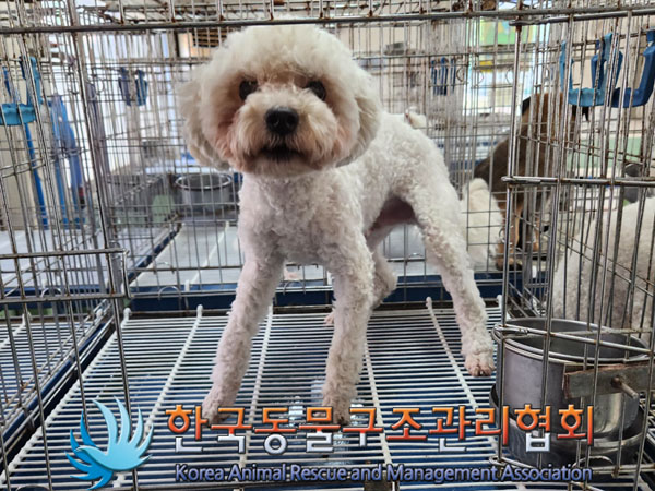한국동물구조관리협회_411322202300395