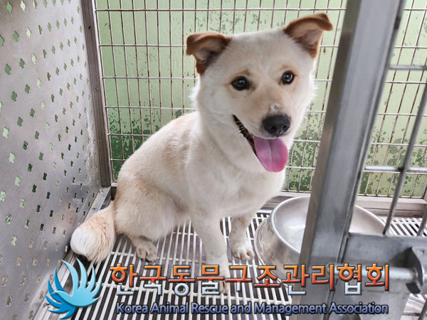 한국동물구조관리협회_411317202300182