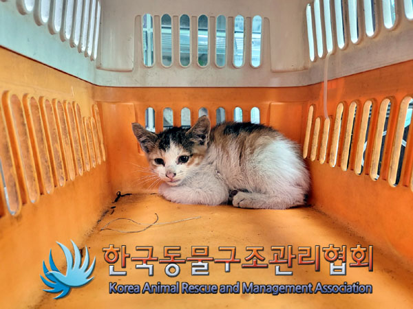 한국동물구조관리협회_441559202300461