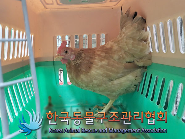 한국동물구조관리협회_411315202300424