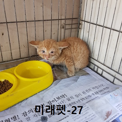 미래펫동물병원_431370202300571