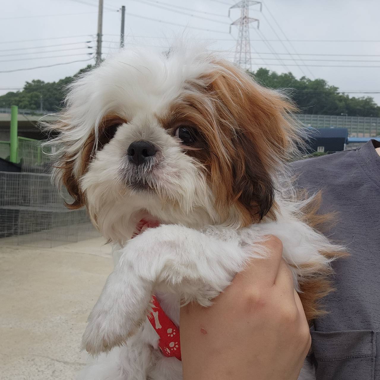한국야생동물보호협회_441393202301135