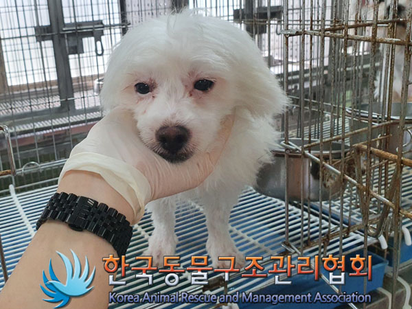 한국동물구조관리협회_411300202300241