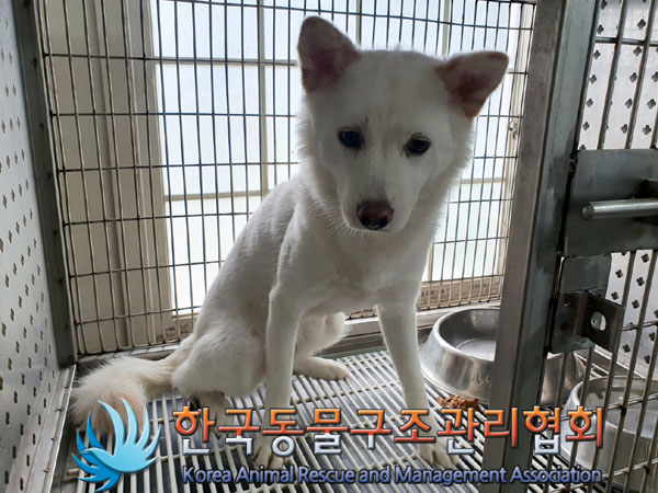 한국동물구조관리협회_411309202300250