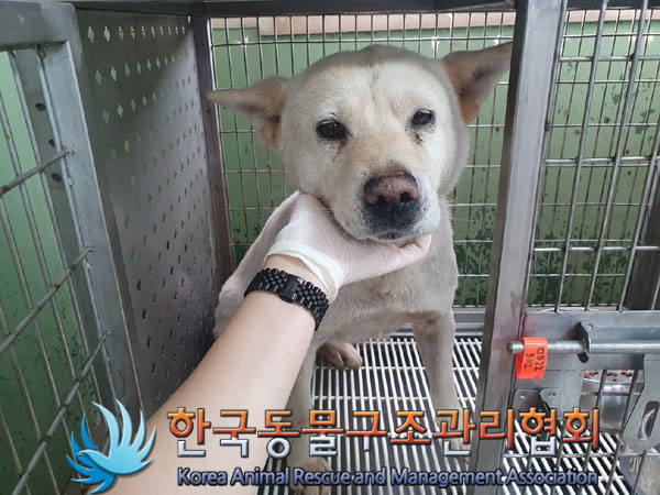 한국동물구조관리협회_441560202300824