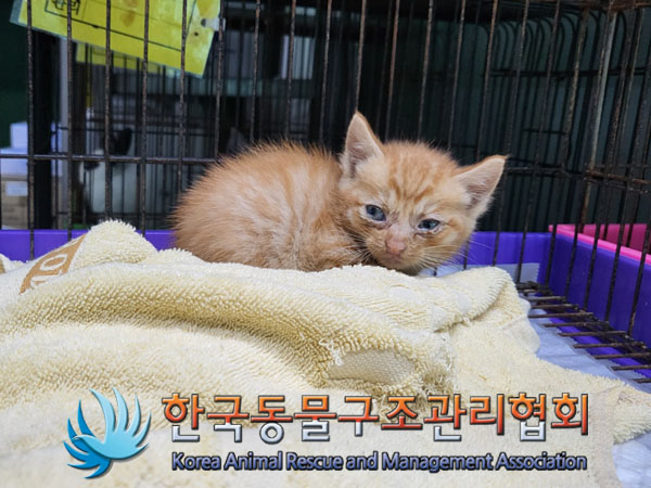 한국동물구조관리협회_411307202300238