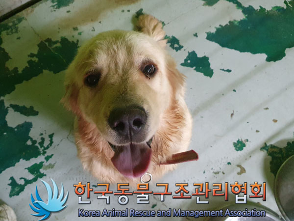 한국동물구조관리협회_441560202300823