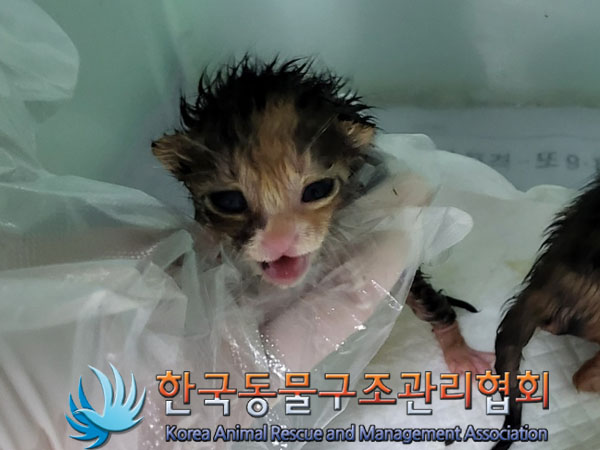 한국동물구조관리협회_411315202300427