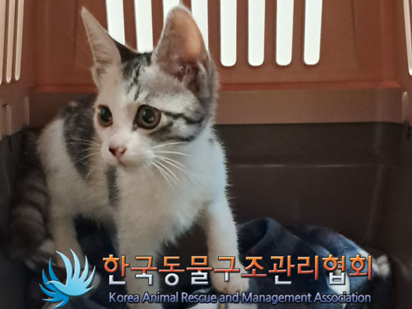 한국동물구조관리협회_441398202300241