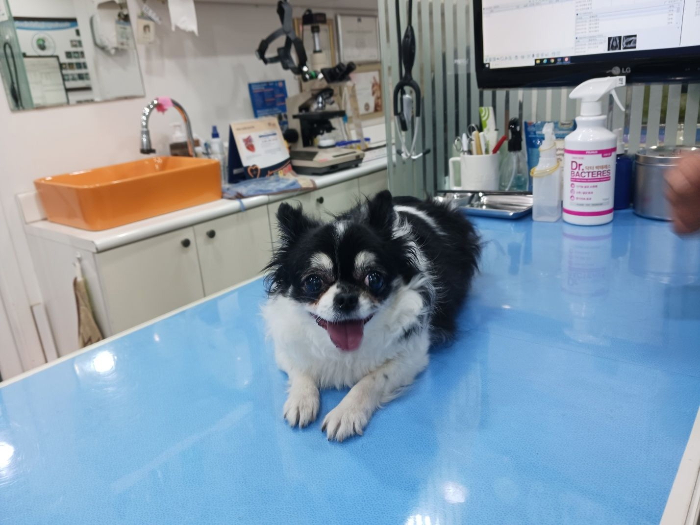 남산동물병원_411302202300354