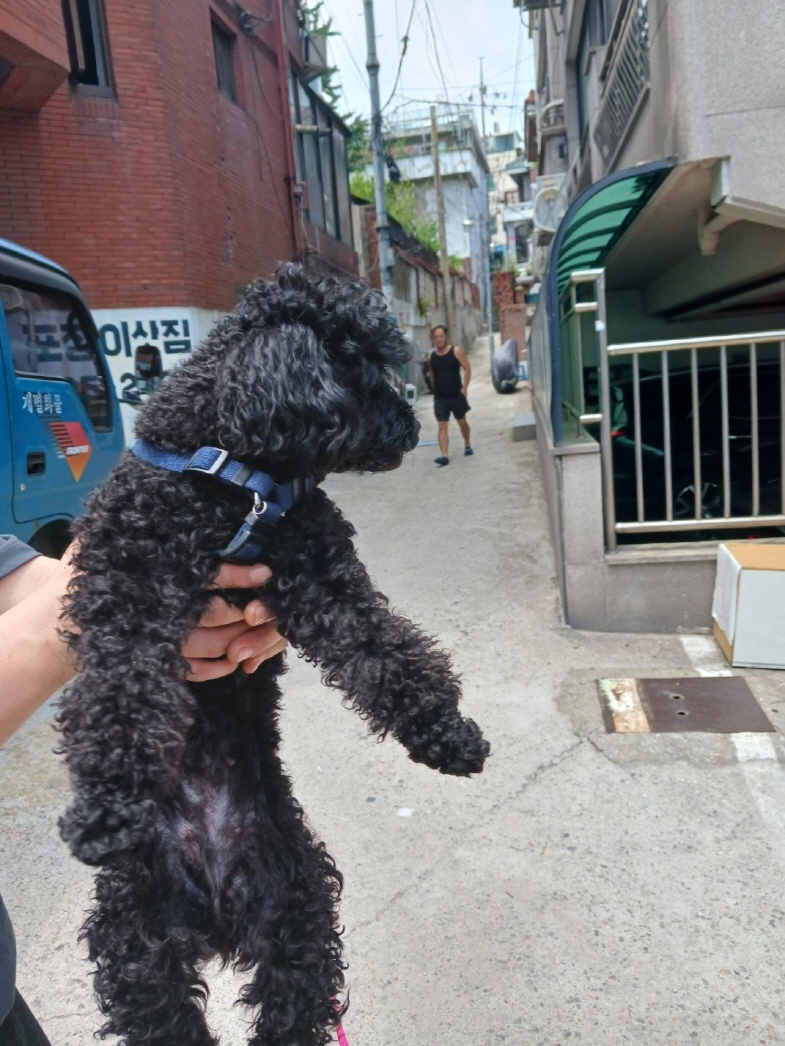남산동물병원_411302202300355
