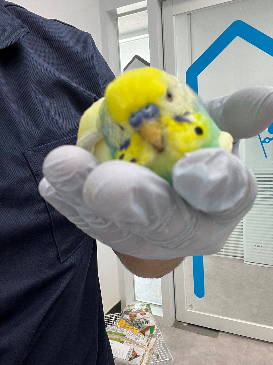 시흥동물누리보호센터_441401202300948