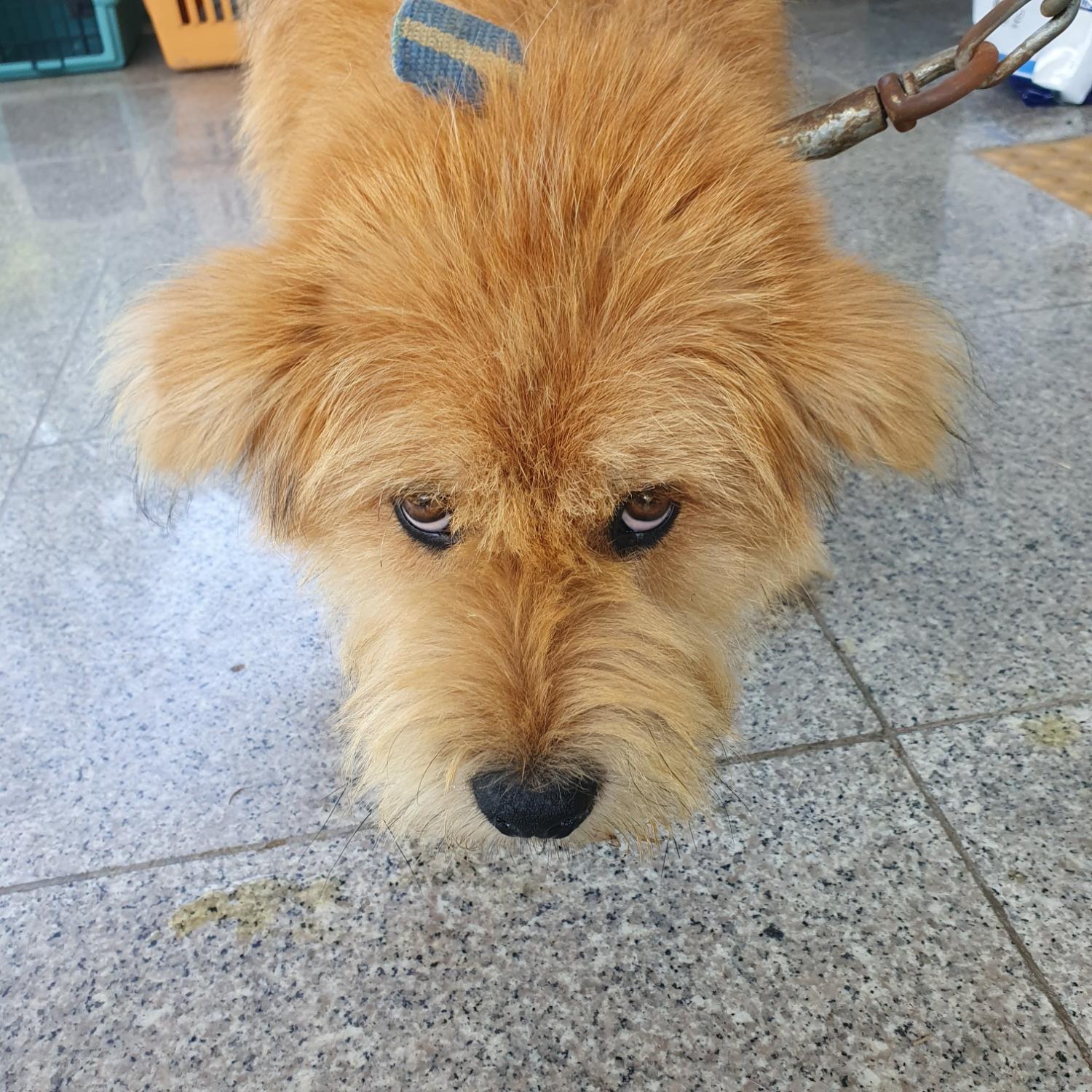 구미시 동물보호센터_447508202300762