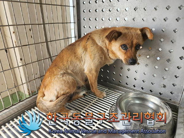 한국동물구조관리협회_441559202300470