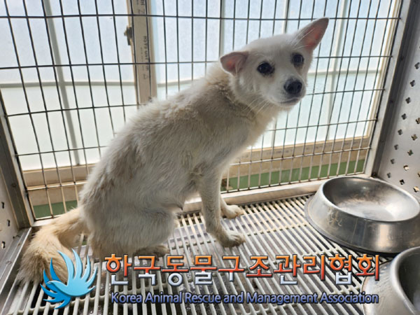 한국동물구조관리협회_441560202300827