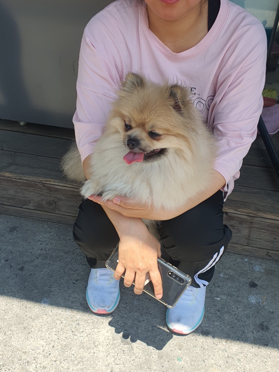 김천시 동물보호센터_447506202300196