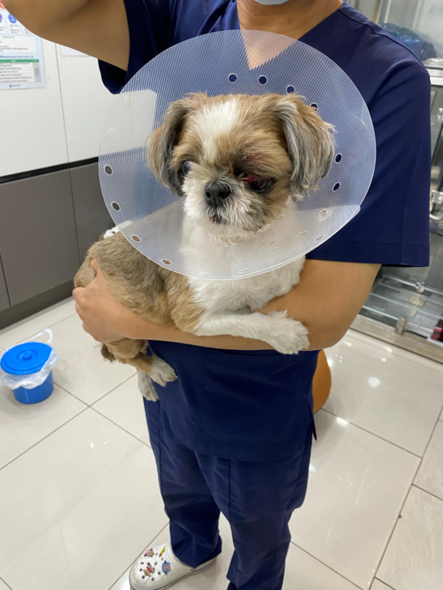 허동물병원_427346202300750