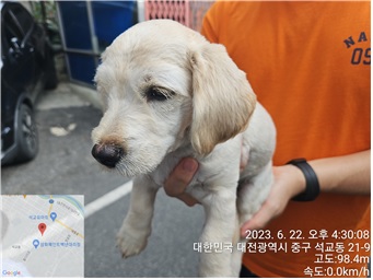대전동물보호센터_430365202300286