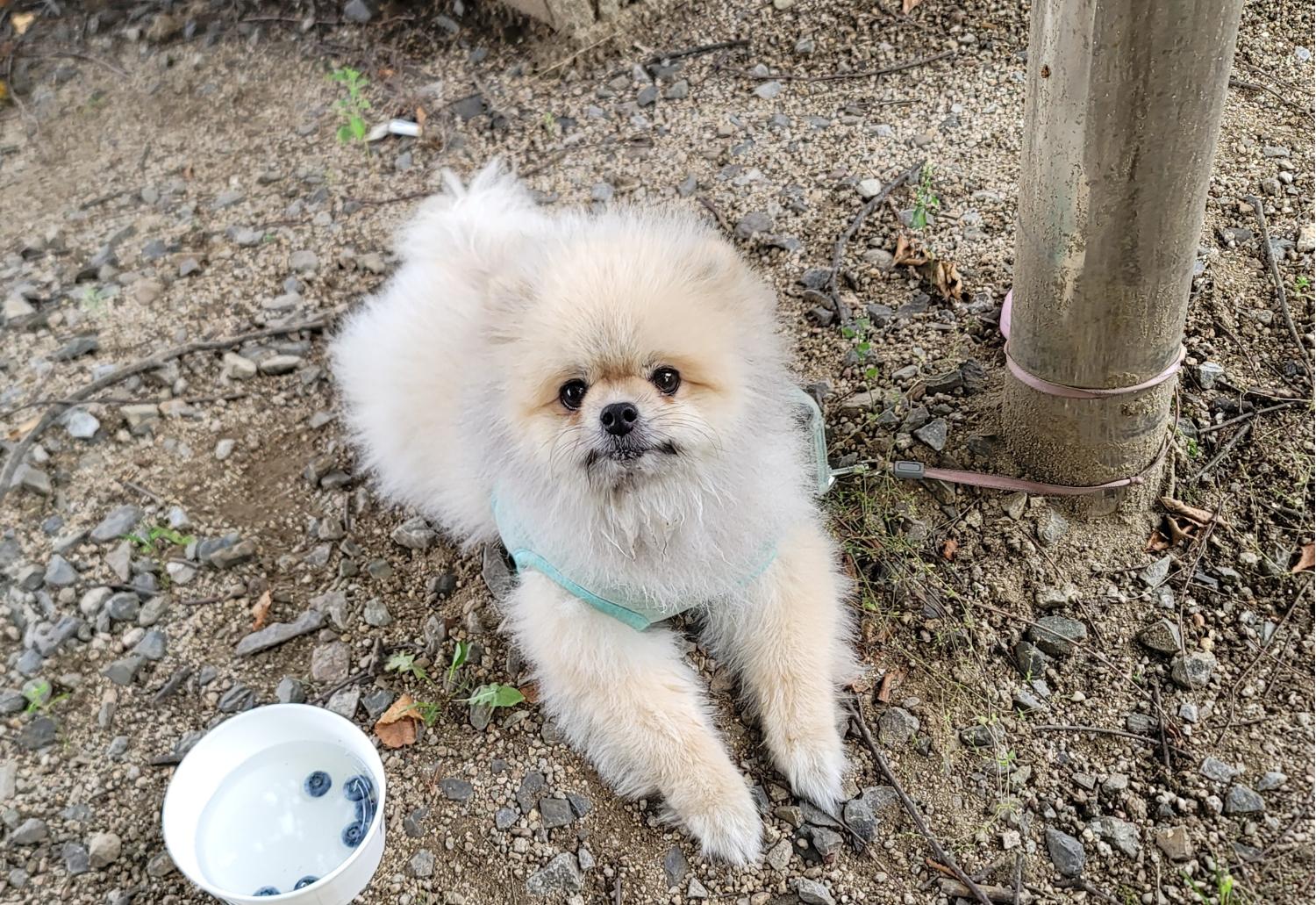 종합축산_447512202300424