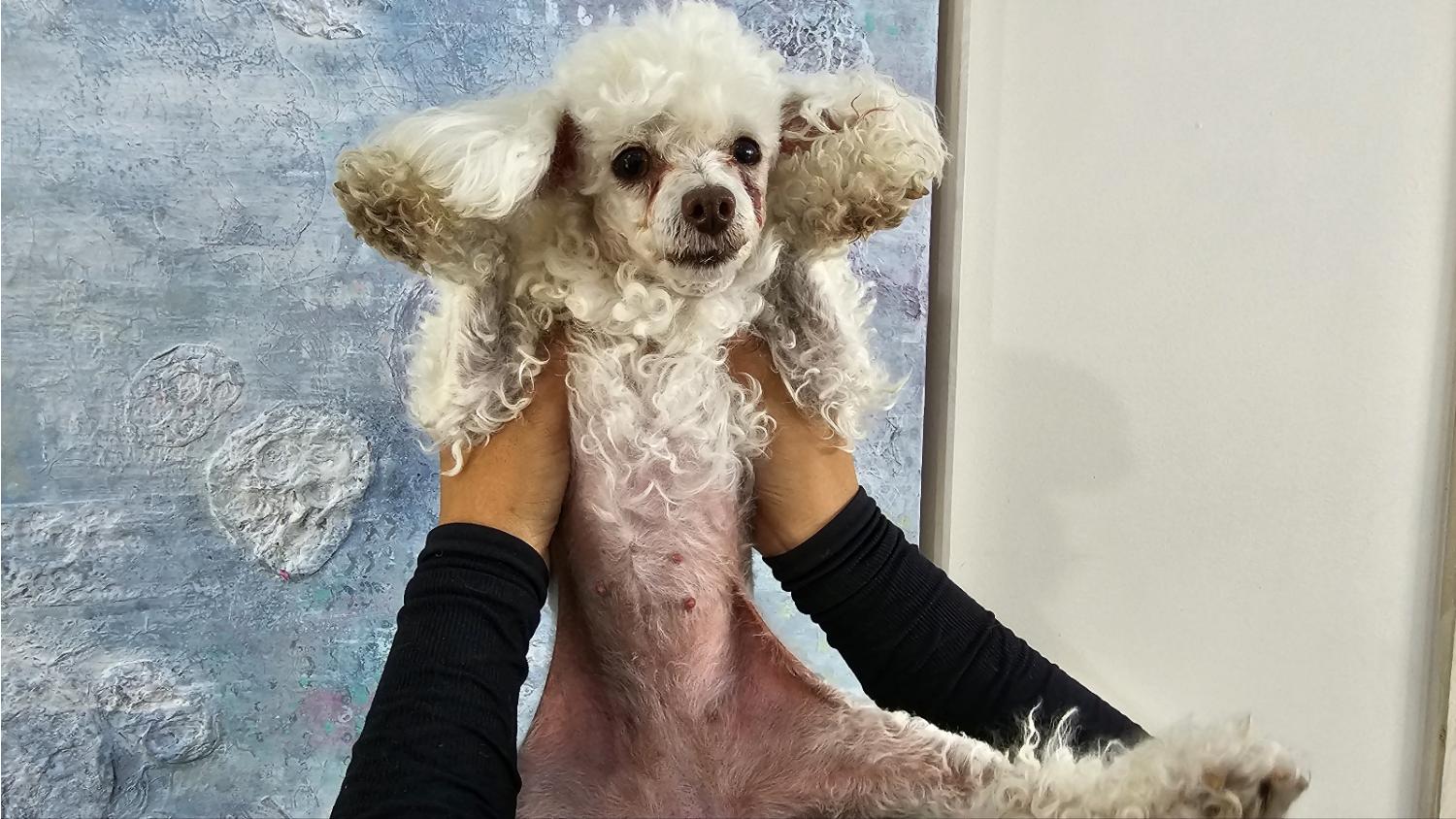 전북말산업복합센터_445471202300152
