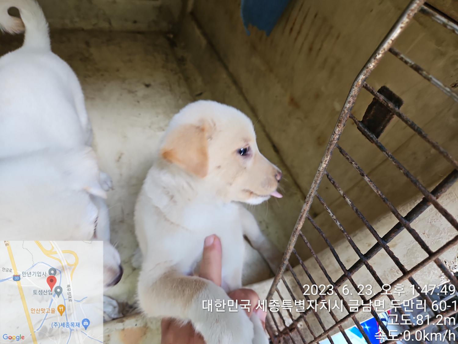 대전동물보호센터_430367202300367
