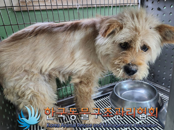 한국동물구조관리협회_441560202300840