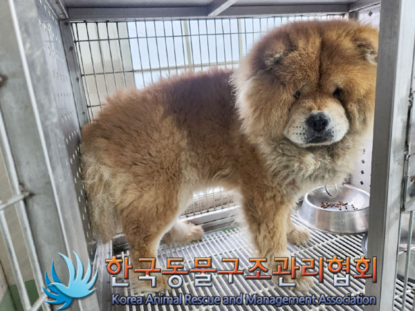 한국동물구조관리협회_441392202300133