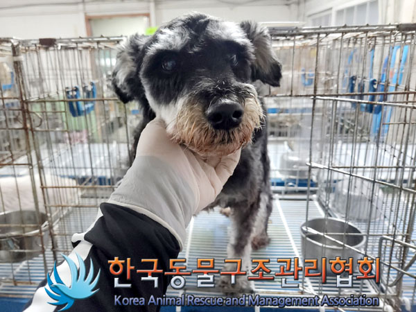 한국동물구조관리협회_441398202300248