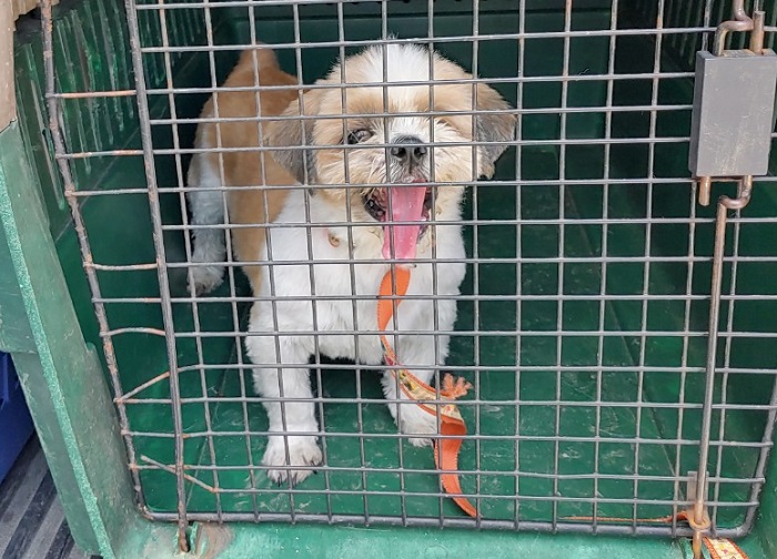 마산유기동물보호소_448528202300888
