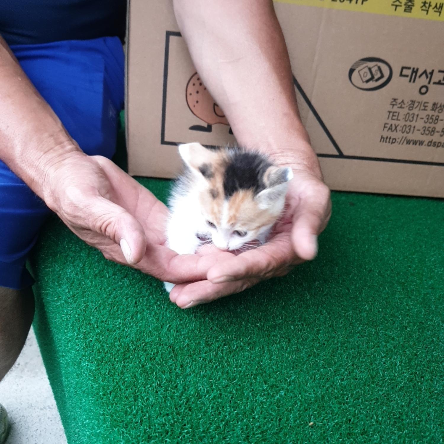 나주유기동물보호센터_446483202300746