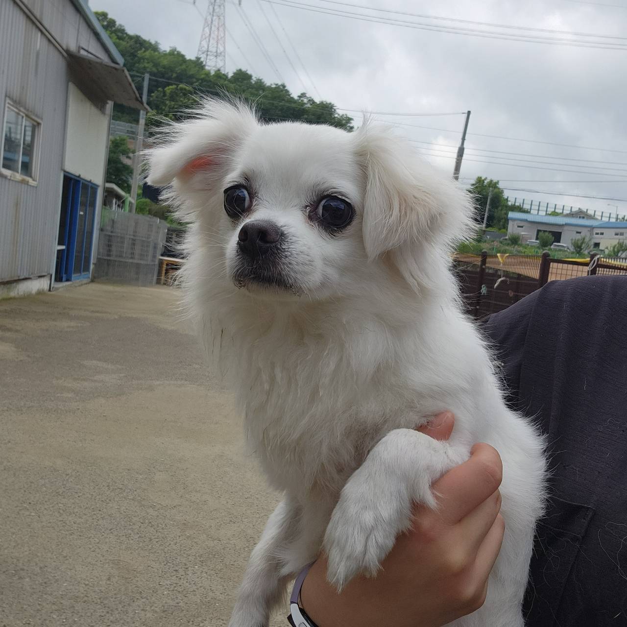한국야생동물보호협회_441393202301162
