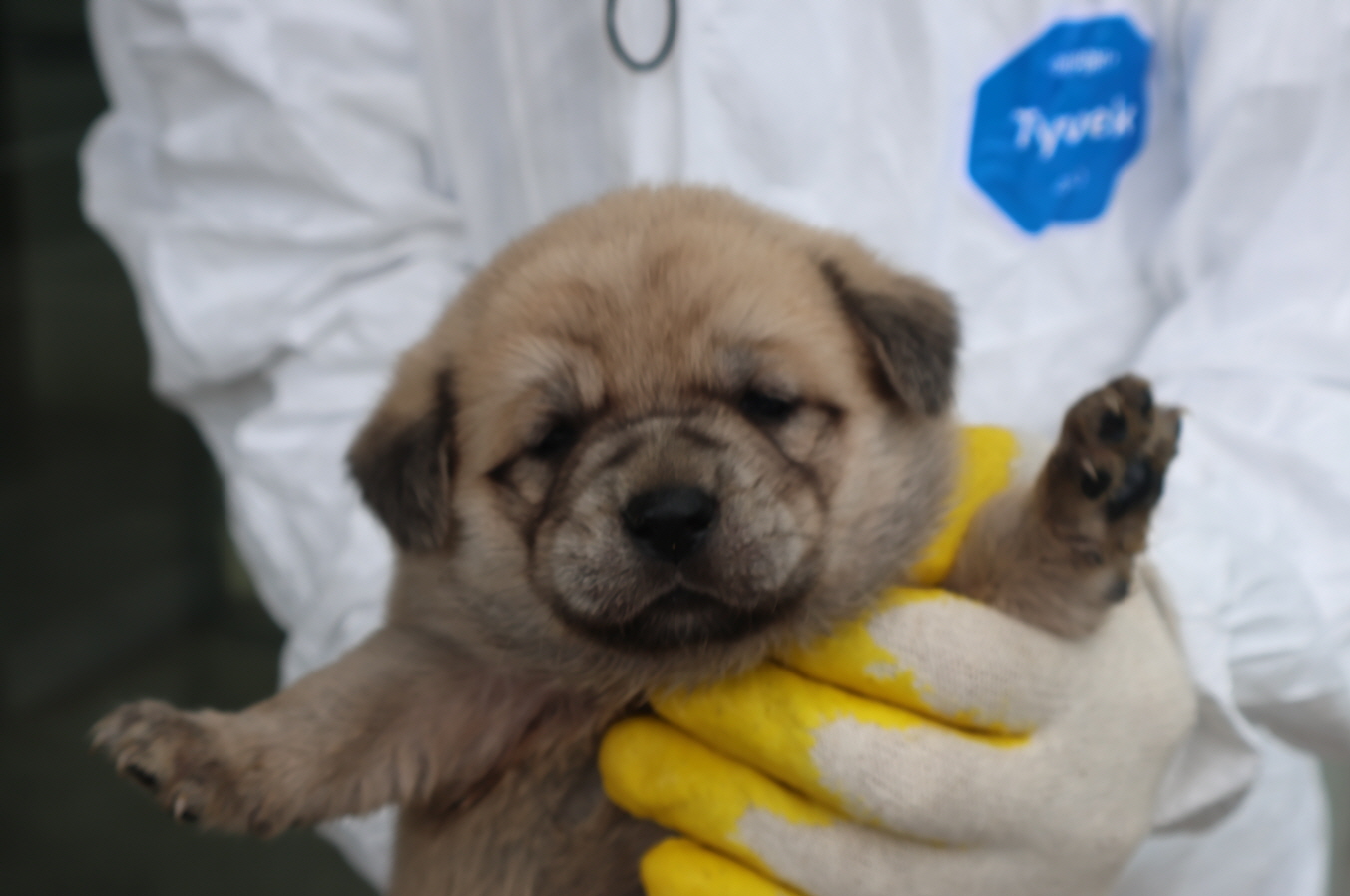 제주 동물보호센터_450650202302128