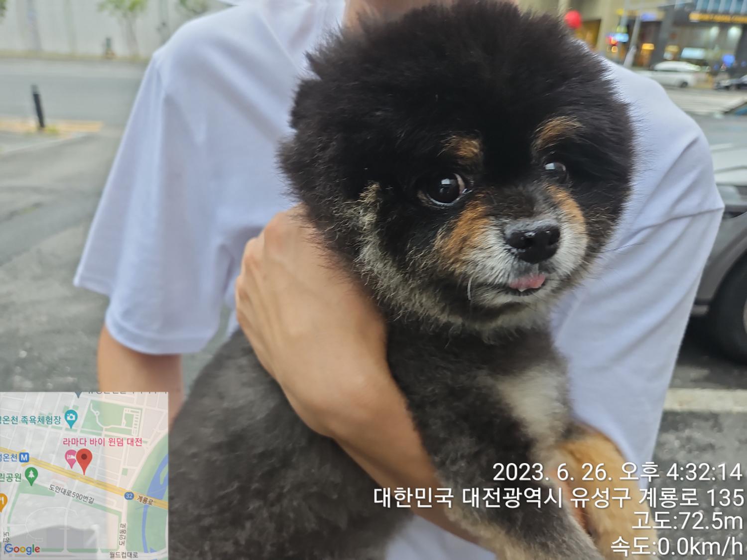 대전동물보호센터_430367202300374